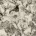 Kokka Echino, BW Leinen Canvas Wonder, Monochrome