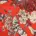 Kokka Echino, BW Leinen Canvas Wonder, Red