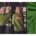 Organic Heavy Sweat brushed, Green, Fibre Mood