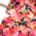 Designer rippenjersey blumen orange 1000stoff